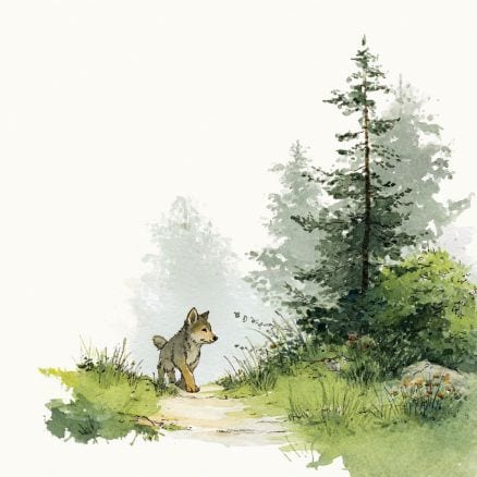 Rozprávka na čítanie - Wilczek i drobne kłamstwo